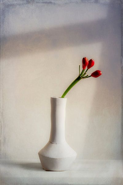 Sonniger Tag von Diane Cruysberghs