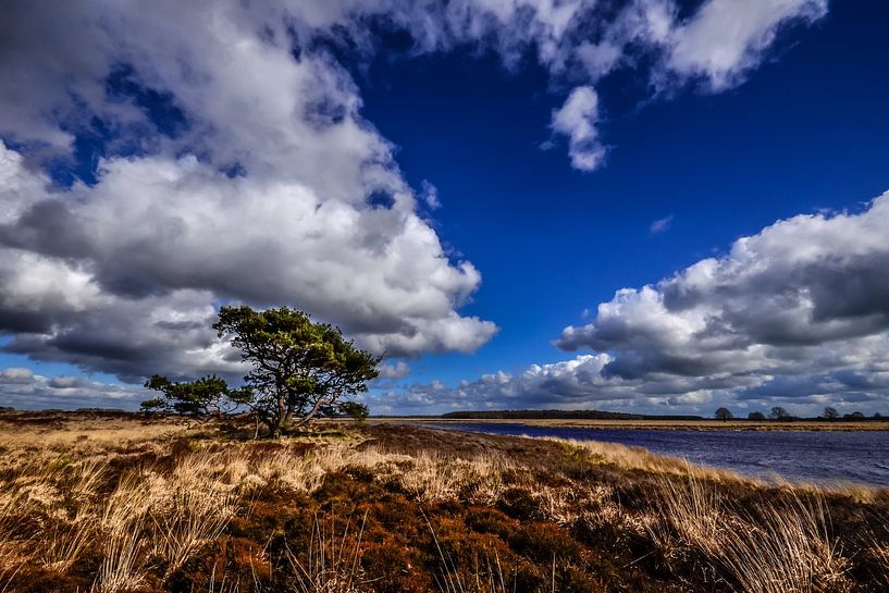 Wolken über dem Hijkerveld von Fred van Bergeijk