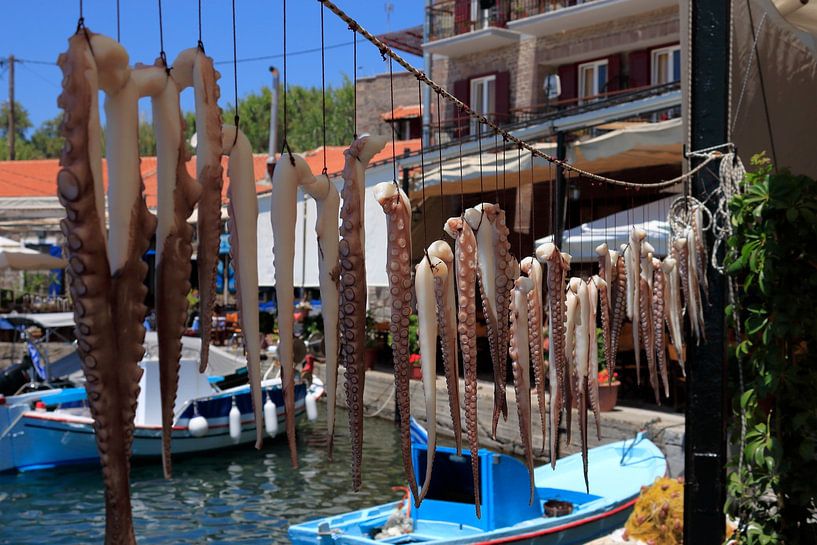 Eating squid by Jerry van den