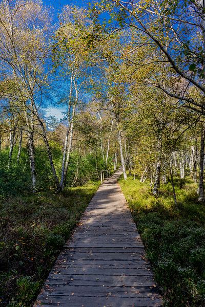 Unterwegs im Nationalpark Rhön von Oliver Hlavaty