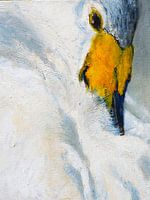 Schwan mit Schnabel zwischen Federn