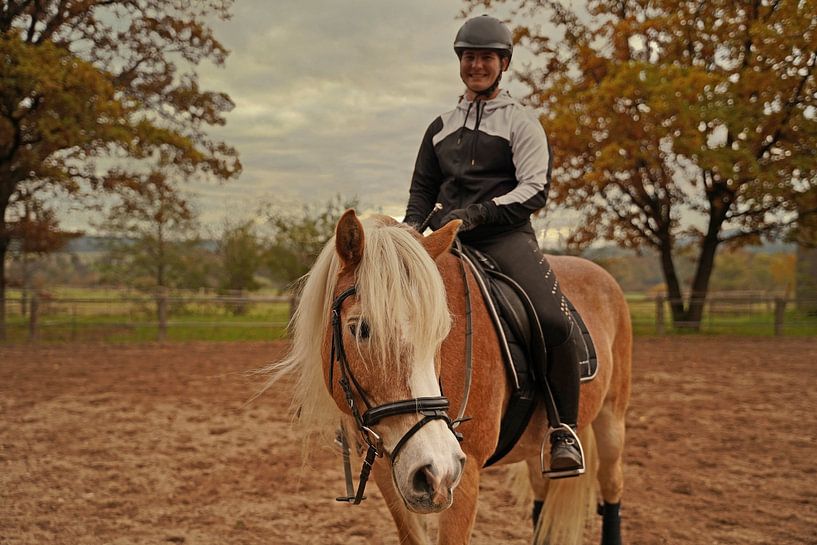 Training with the light brown Haflinger with beige mane by Babetts Bildergalerie