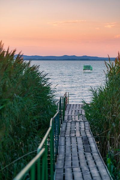 Steg durchs Schilf am Plattensee in Ungarn zum Sonnenuntergang von Daniel Pahmeier
