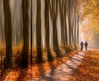 2 fietsers in de herfst