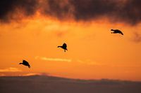 Vorbereiten auf die Landung