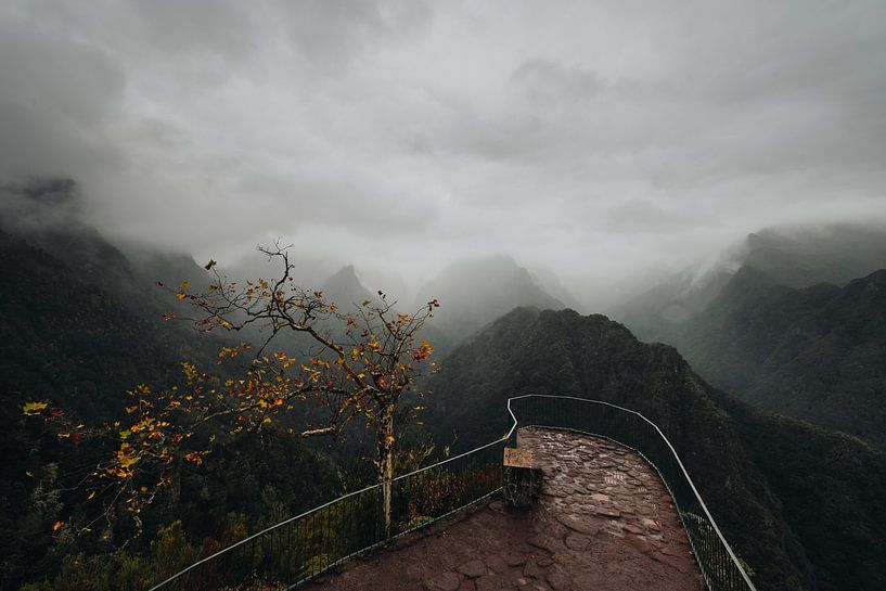 Levada dos balcões par Erik Lei