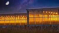 A Westland greenhouse with growing light against a starry sky with moon