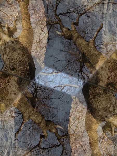 Krähenfüße von Anita Snik-Broeken