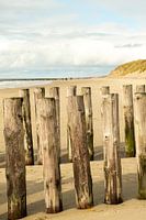 Landschaft am Meer mit Wellenbrechern und Dünen