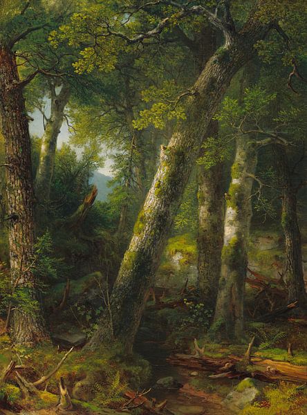 Asher Brown Durand,Forêt dans la lumière du matin par finemasterpiece