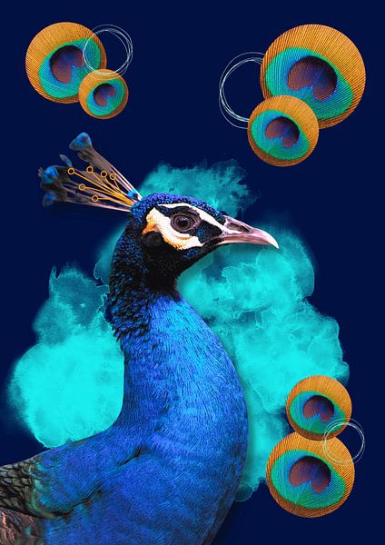 Pfau mit runden Federn von Postergirls