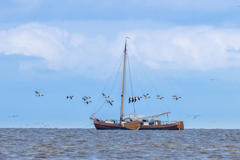Voilier sur la mer des Wadden par Goffe Jensma