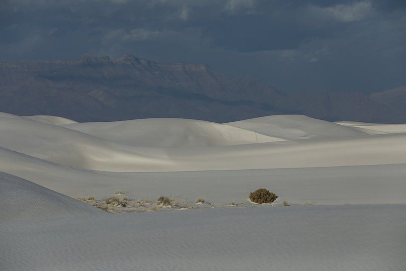 White Sands Dunes National Monument in New Mexico USA by Frank Fichtmüller