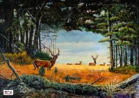 Le cerf à l'âge du bronze