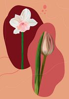 Fleurs aux formes organiques