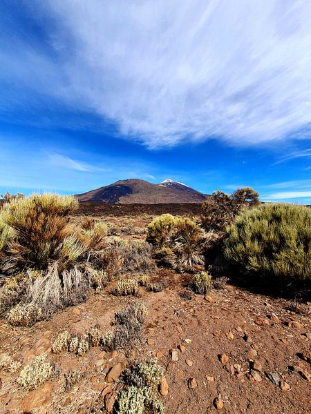 In den Bergen #5 von zam art