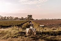 Garden Chair traveling in Zeeland II