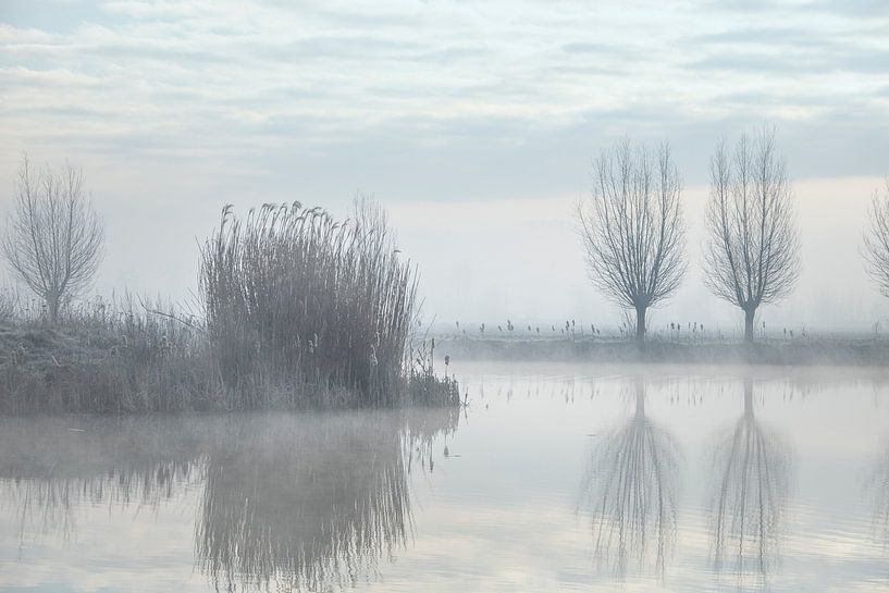 Landschaft 'in der Nähe des Lithse-Waldes von Willy Sengers