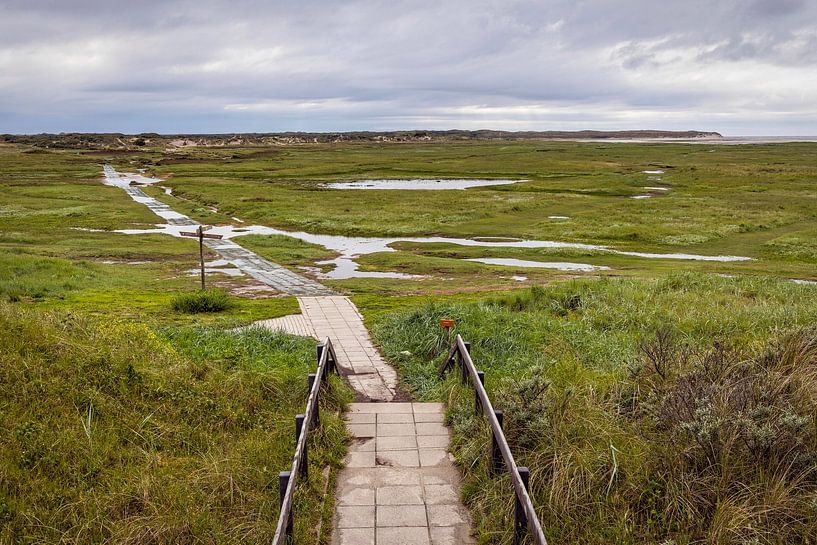 Naturschutzgebiet De Slufter auf Texel von Rob Boon