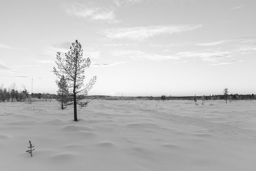 Off Route by DsDuppenPhotography