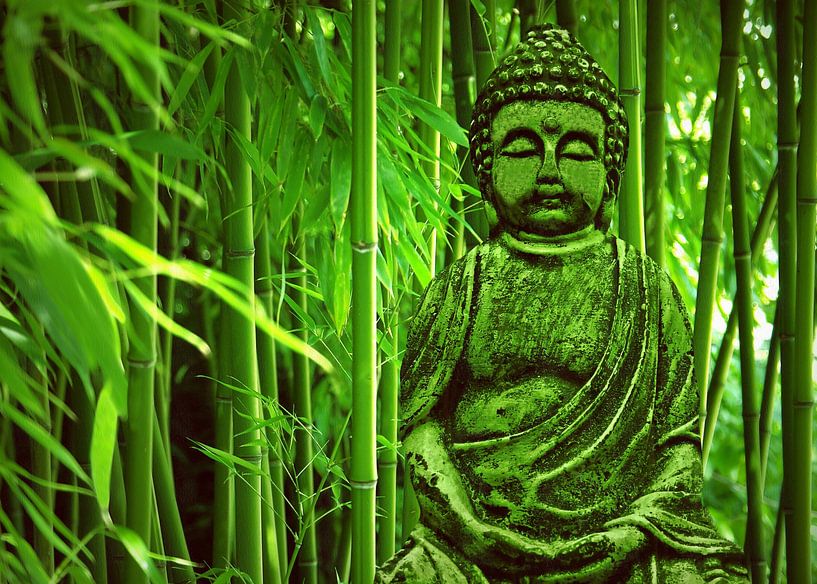 Buddha by Gabi Siebenhühner
