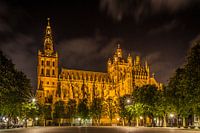 St. John's Cathedral in 's-Hertogenbosch at night.