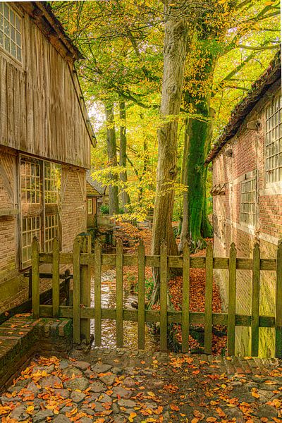 Bels Watermill and Mosbeek stream during a beautiful fall day by Sjoerd van der Wal Photography