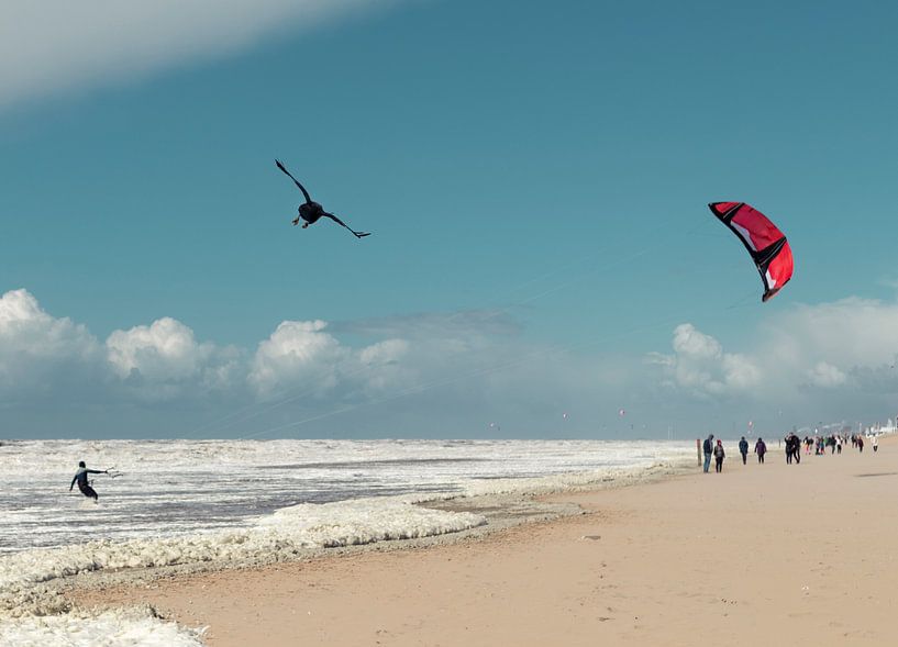 Surf 10 par Elle Rowbottom