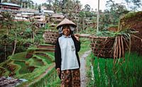 Un cueilleur de riz sur Bali (Indonésie).