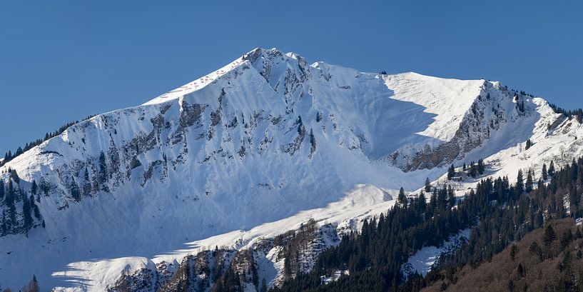 de besneeuwde Fellhorn in de Allgäuer Alpen van Walter G. Allgöwer