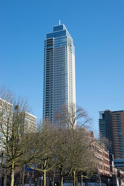 Rotterdam, Zalmhaventoren von Patrick Verhoef