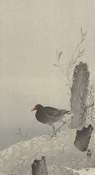 Ohara Koson - Teichhuhn (bearbeitet) von Peter Balan