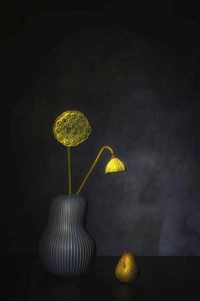 Die Schönheit des Verfalls. von Saskia Dingemans Awarded Photographer