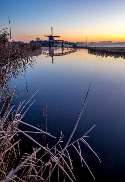 Der Obdammer von peterheinspictures