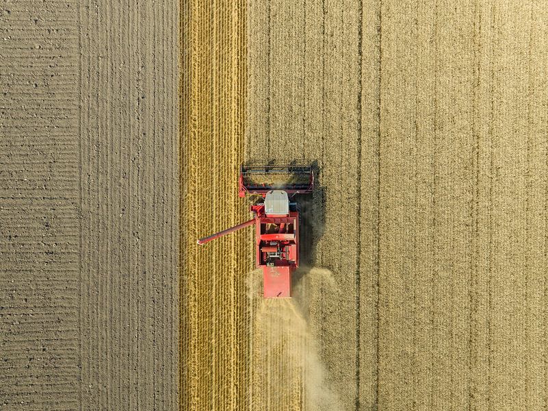 Récolte du blé en été vue d'en haut par Sjoerd van der Wal Photographie