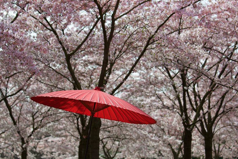 Wagasa par Harro Jansz