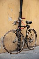 Das rote Fahrrad: La Bicicletta in Italien