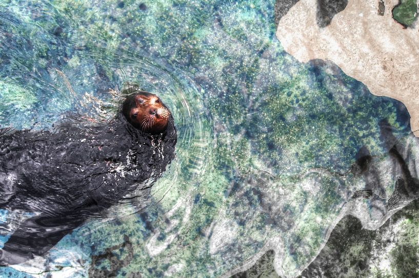 Joint d'étanchéité par BL Photography