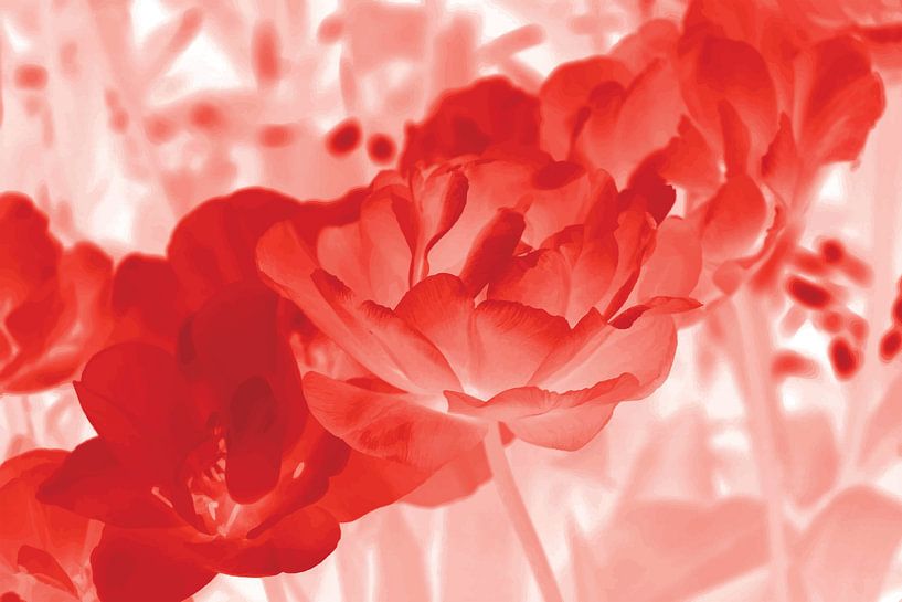 Diffusion Florale par GeeeDeeeBeee