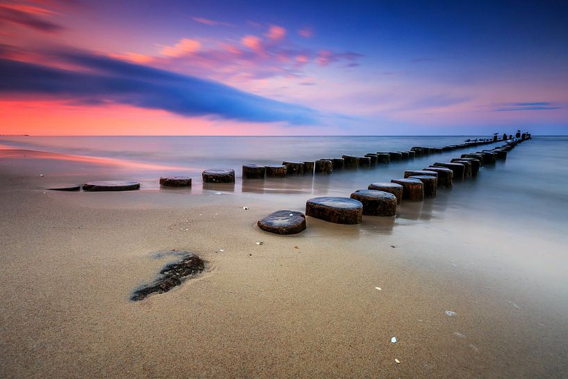 Des grognements au coucher du soleil par Frank Herrmann