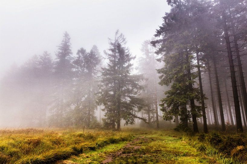 Botrange von Rob Boon