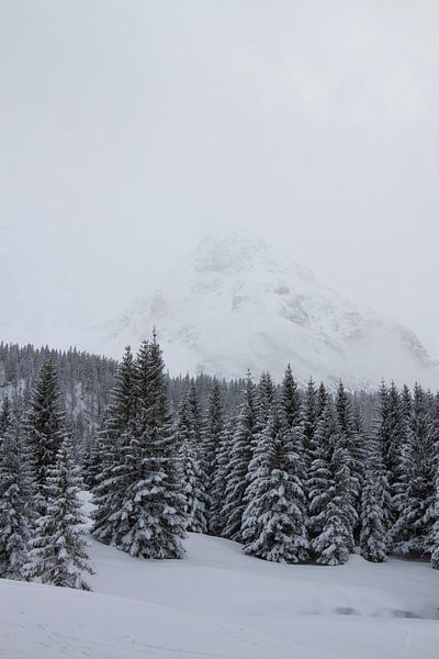 Lermoos Austria by Jeroen Meeuwsen