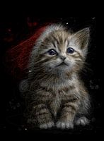 Weihnachtsmannmütze süße Katze