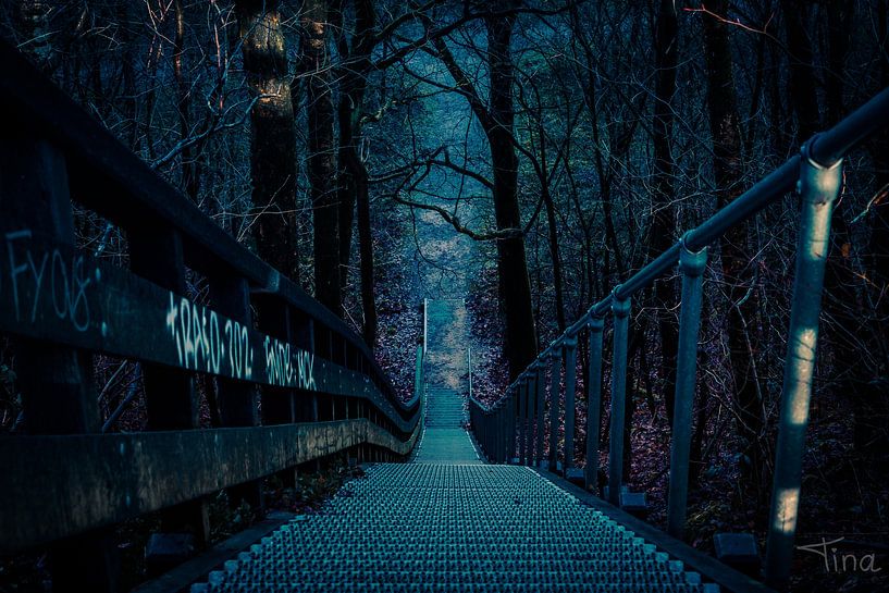 Von oben nach unten von Tina Linssen