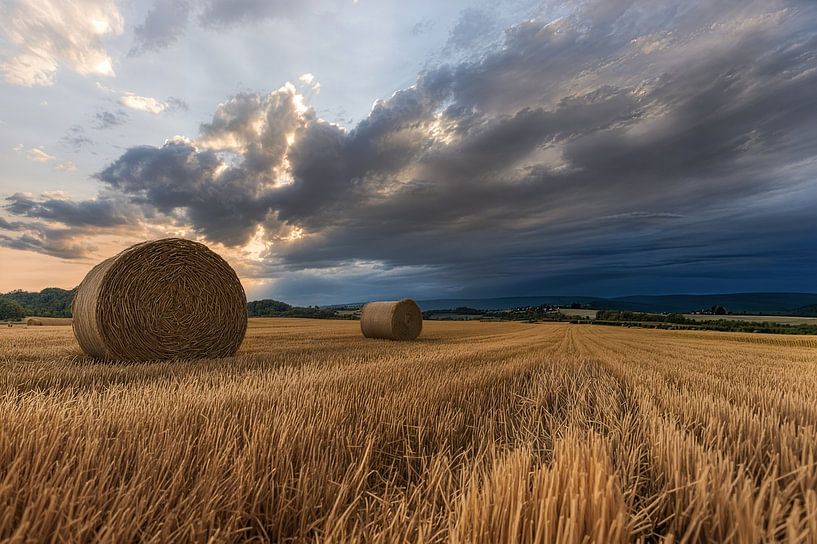 At the field by Christina Bauer Photos