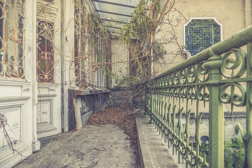 Die Natur übernimmt die Kontrolle... von Patrick Löbler