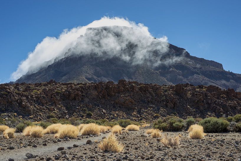 Autumn on Tenerife by Walter G. Allgöwer