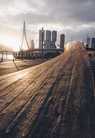 Wooden Waves and City Icons - Rotterdam in Warm Light