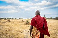 Wächter der Wildnis