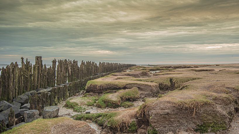 Wattenmeerküste @Moddergat-Paesens (Friesland) von Roland's Foto's